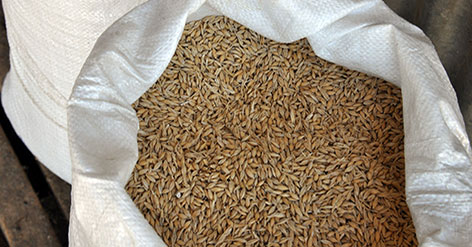 Wheat, cereal crops available from D & M Rural in Bordertown